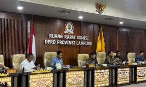 image_750x_68ce26cc7fe2d